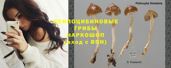 кокс Бородино