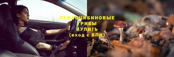 кокс Бородино