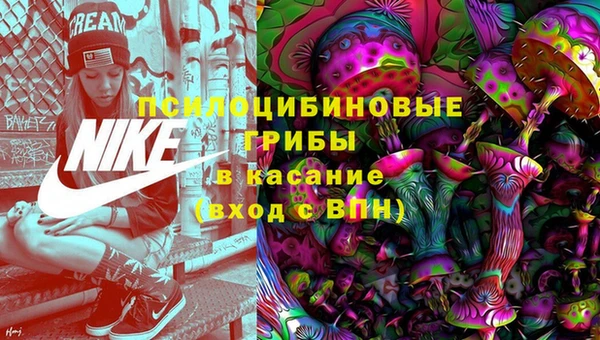 гидропоника Бронницы