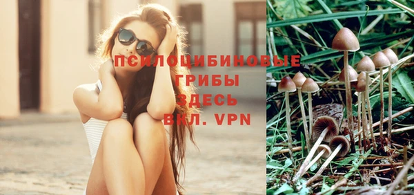 альфа пвп Бугульма