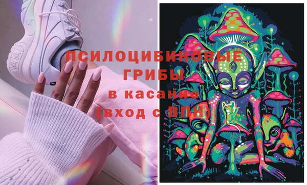 кокс Бородино