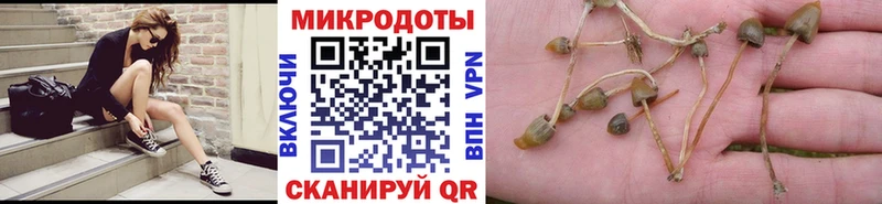Галлюциногенные грибы мухоморы  купить   Нижневартовск 